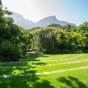 Vineyard **** Città del Capo